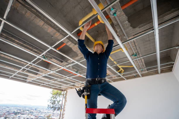 Best Local Plumber Services  in Port Neches, TX